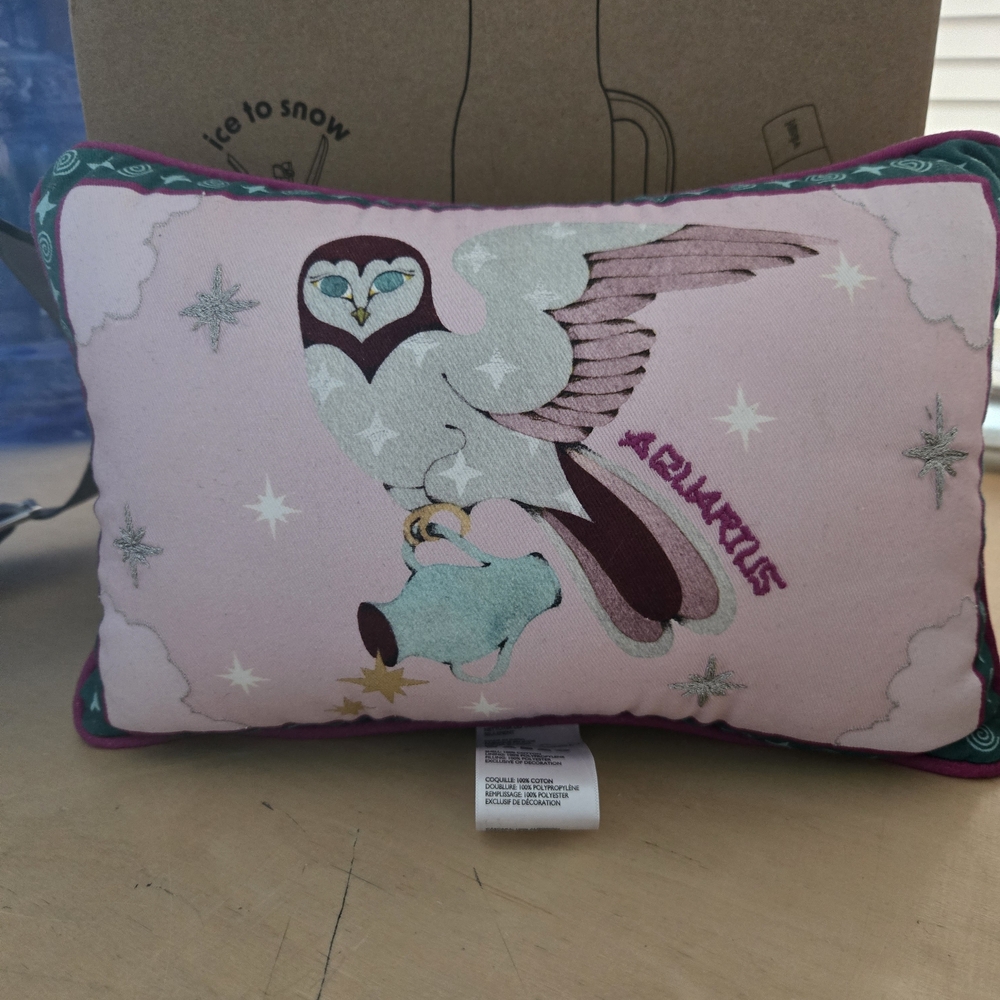 Whimsical Pink Owl Accent Pillow Aquarius